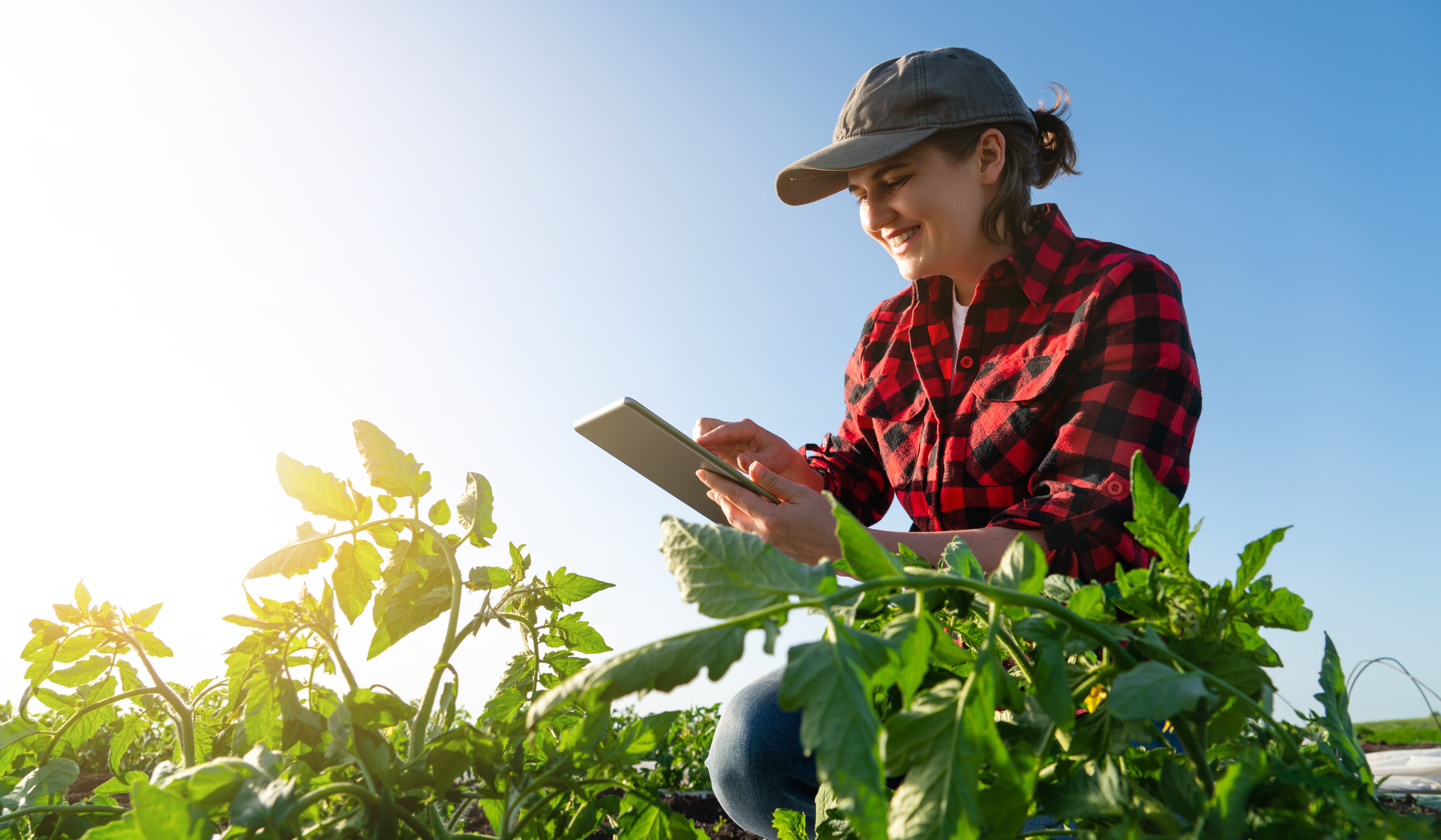 A woman in a red plaid shirt and cap is smiling while using a tablet in a sunlit field, effortlessly addressing data integration challenges. She is surrounded by green plants under a clear blue sky.